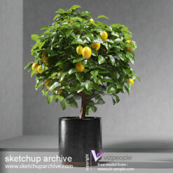 VP_Free_Lemon_Tree